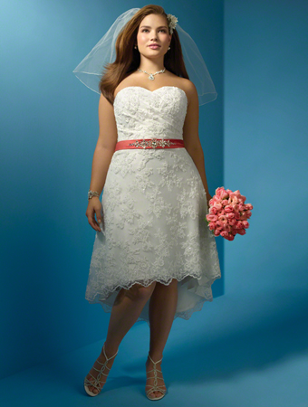 2012 Plus Size Wedding Dress Trends